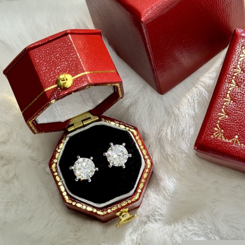 T*f*ny earrings